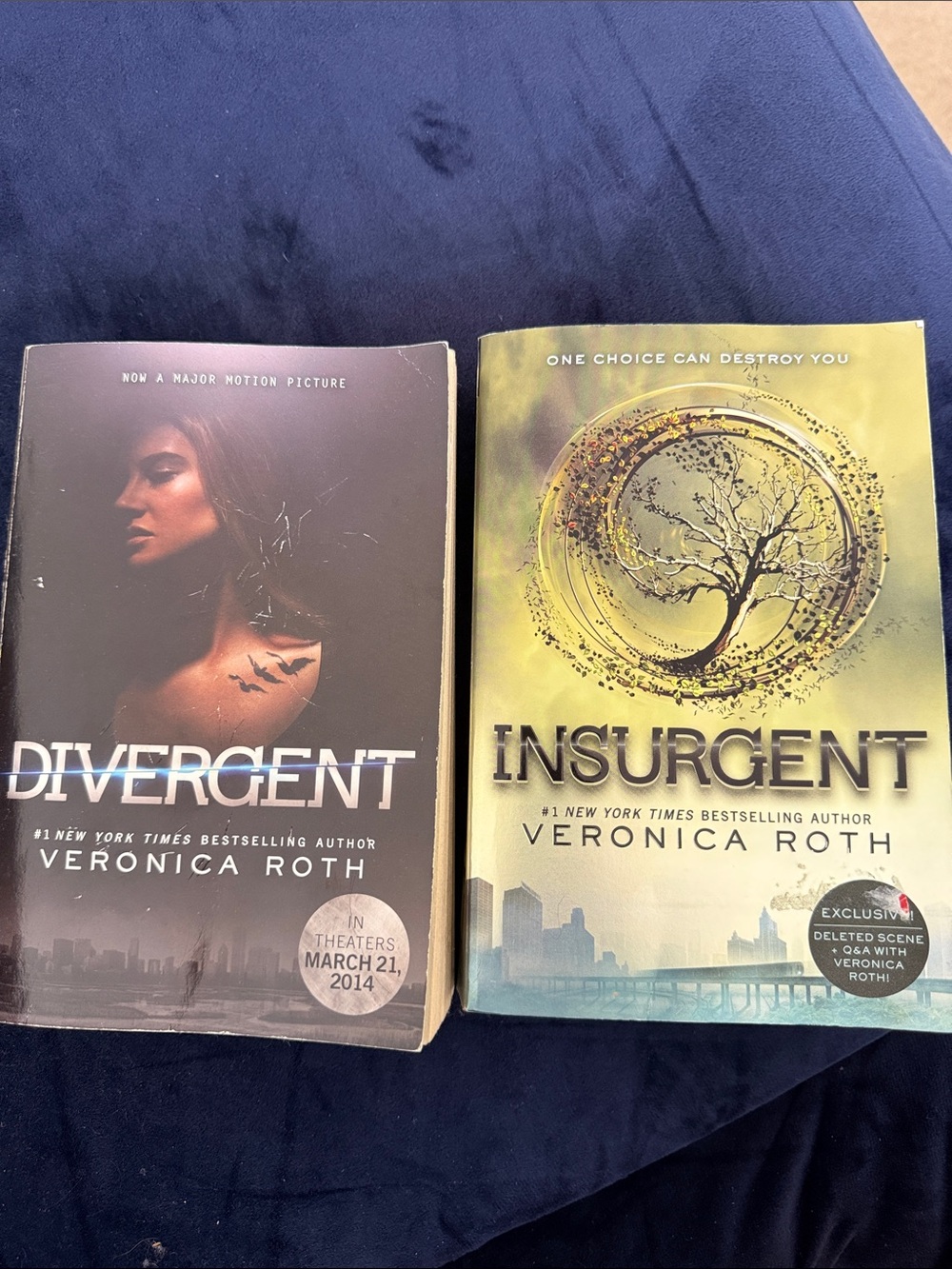 Divergent & Insurgent by Veronica Roth books